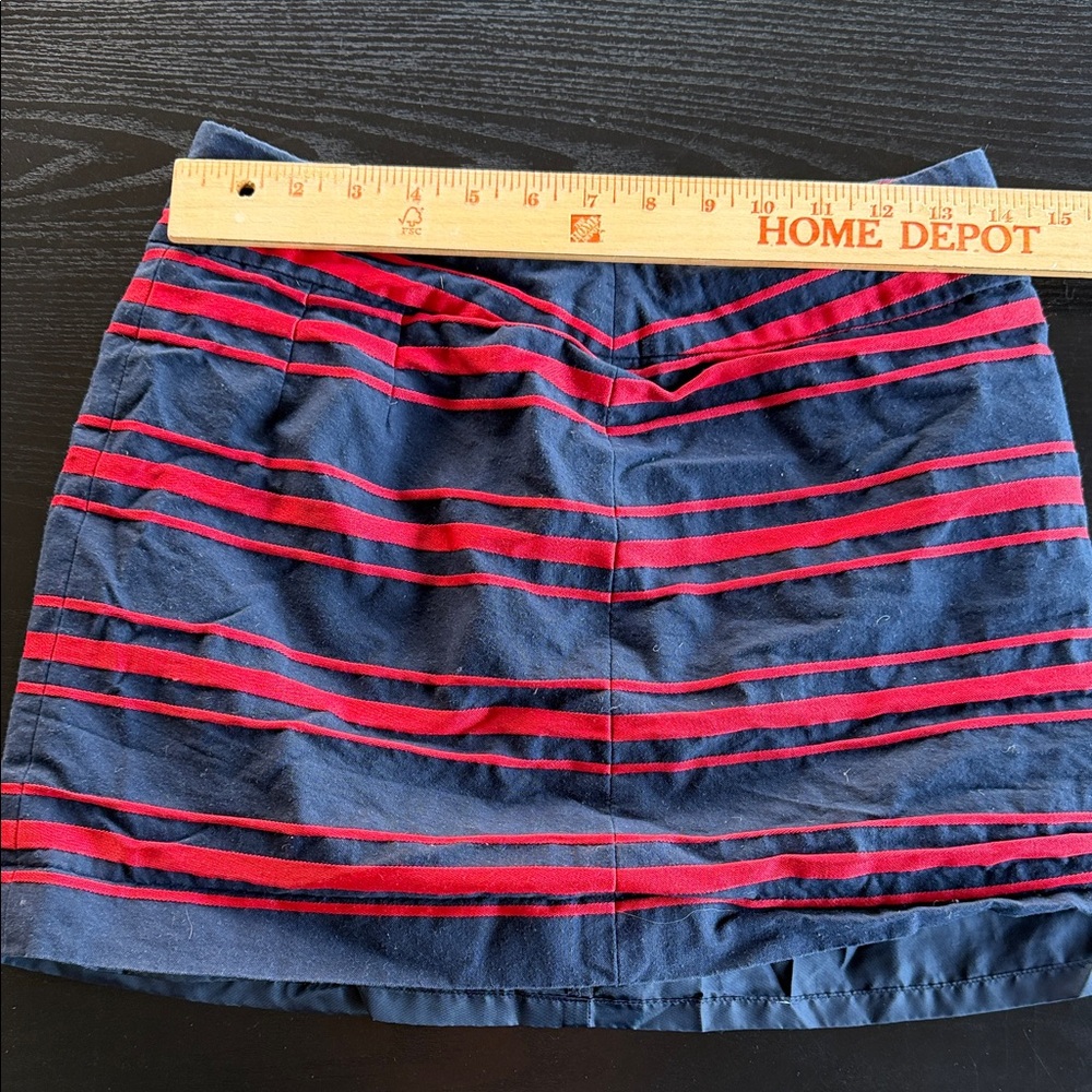 Striped Navy blue and Red Women's Skirt
Loft brand